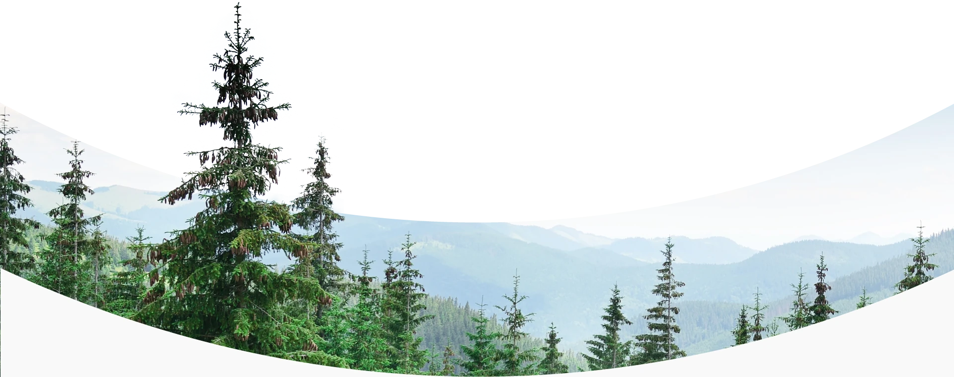 RESPONSABILIDADE SOCIOAMBIENTAL